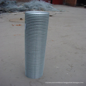 Galvanized  welded wire mesh & High quality & Widely used